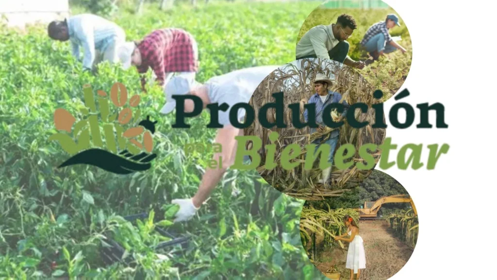 Producción para el Bienestar: Impulsando la Agricultura Familiar en México